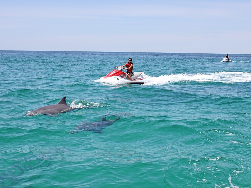 dolphin boat tours fort walton beach